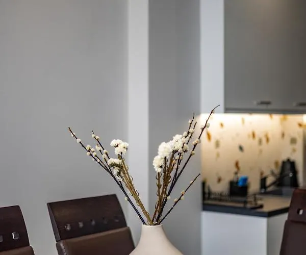 Luxury Downtown α3